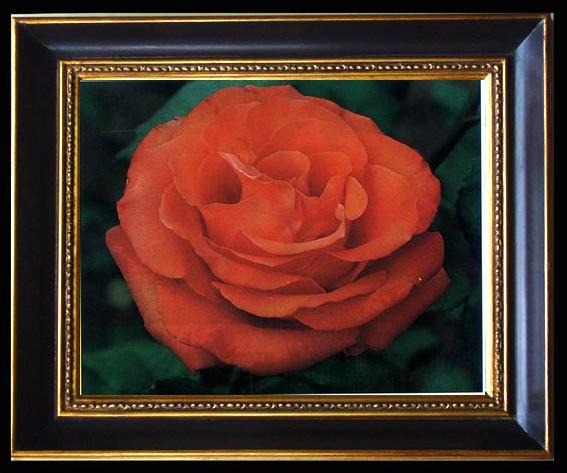 framed  unknow artist Still life floral, all kinds of reality flowers oil painting  229, Ta093